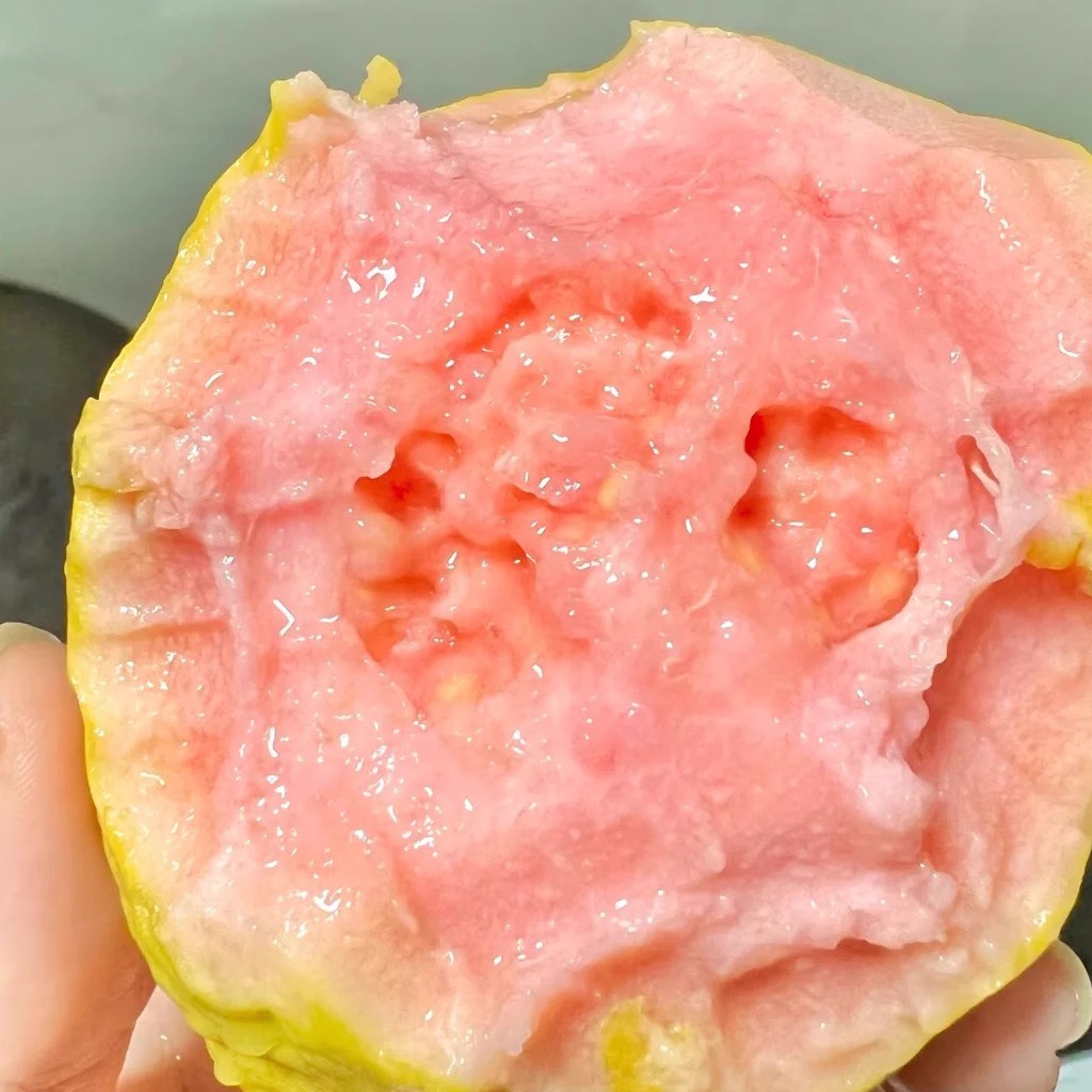 飘香牛奶白玉粉红心芭乐软糯胭脂红软籽番石榴黄金奶油鸡屎果新鲜