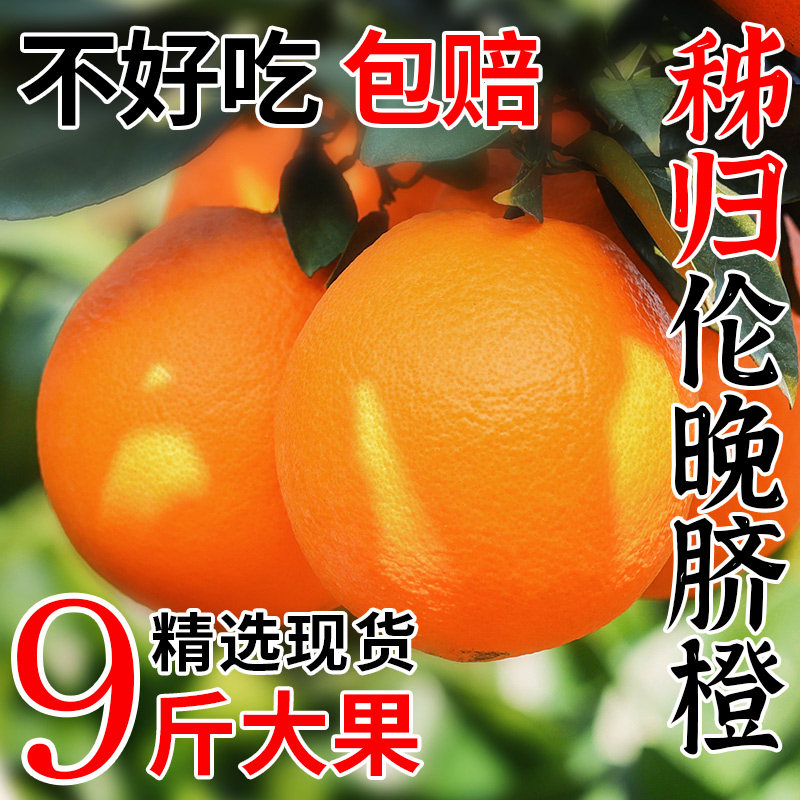 橙子伦晚脐橙江西赣南品种10斤新鲜水果当季整箱正宗果冻橙冰糖甜图片
