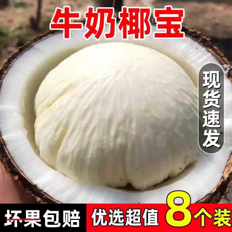 海南新鲜椰宝正宗发芽老椰子肉当季现摘新鲜孕妇水果椰汁椰皇包邮