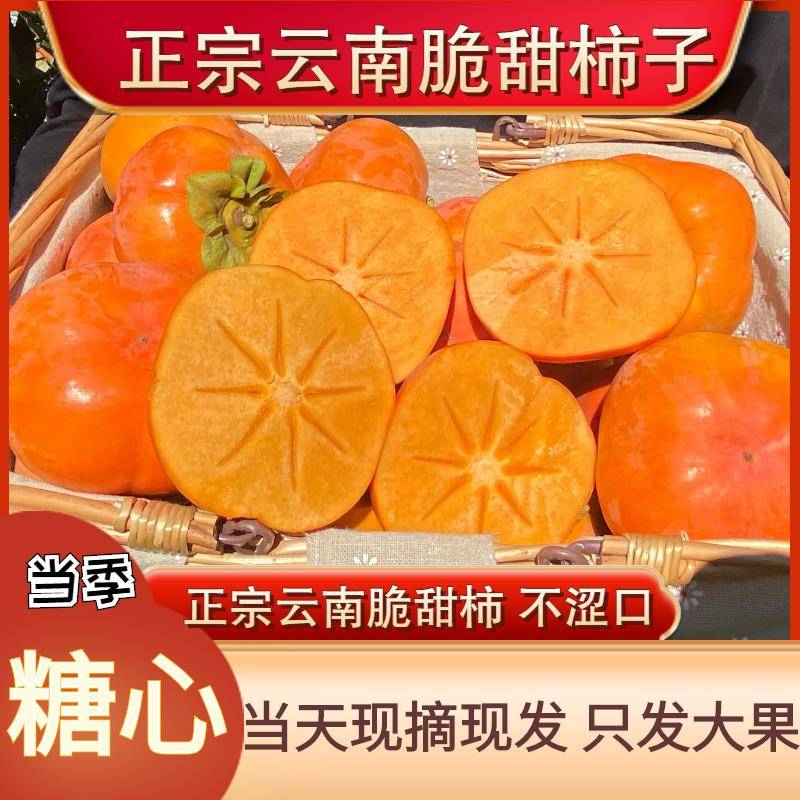 正宗云南巧克力脆柿子新鲜水果硬甜脆柿子10斤大果孕妇当季整箱装