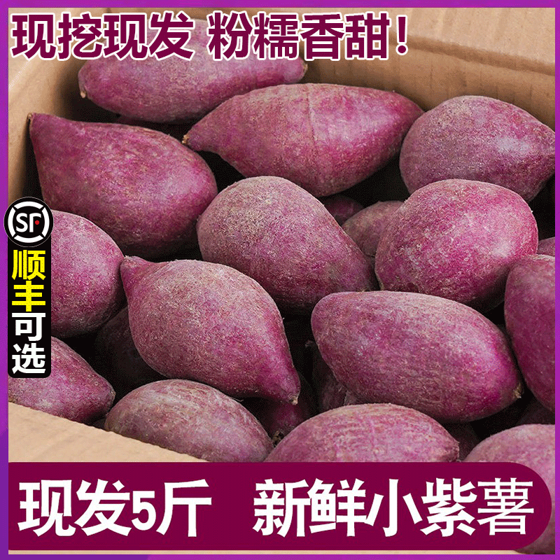 越南小紫薯珍珠板栗迷你紫薯新鲜蔬菜红紫色糖心红薯整箱5斤