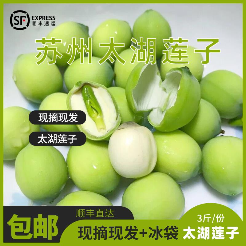 苏州太湖莲蓬新鲜莲子米现摘当季水果整箱特产即食非洪湖3斤顺丰
