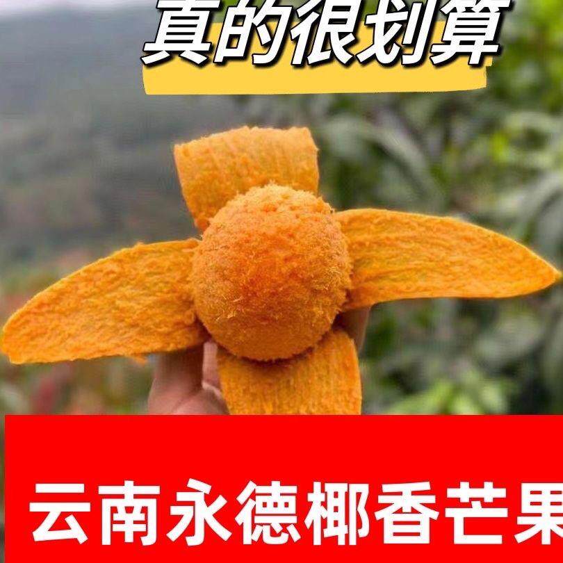 云南永德椰香芒果 当季新鲜现摘绿皮鸡蛋芒孕妇水果10斤大箱包邮