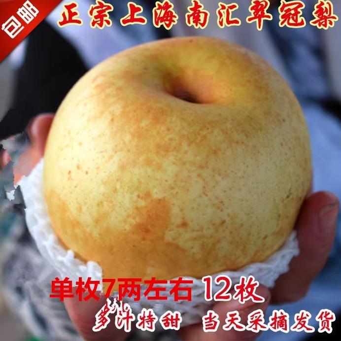京东生鲜包邮正宗上海南汇农家翠冠梨脆梨子蜜梨12只装8只装