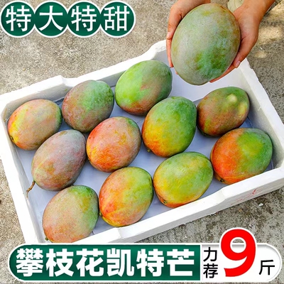 四川攀枝花凯特芒果新鲜10应季斤水果芒果整箱包邮特大青忙果当季