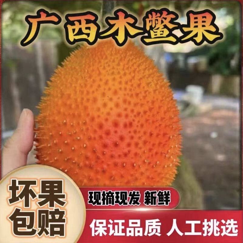 领南特产新鲜水果木鳖果木鳖瓜漏苓子甜葫芦天堂果农家种现货速发,水产肉类/新鲜蔬果/熟食,甜瓜,淘宝优惠券,粉丝福利购,淘宝优惠卷