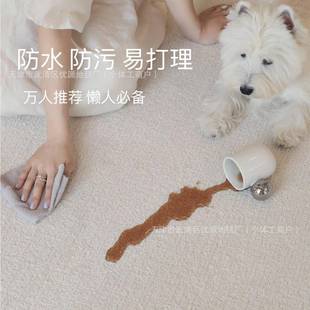 白月光 水 本宅防抗污色简约45237857家居客厅地毯免打纯白纯色