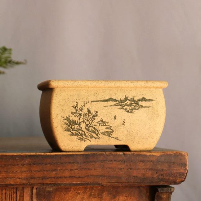 宜兴紫砂花盆手工刻绘长方形小马槽文竹多肉菖蒲造景小号绿植盆