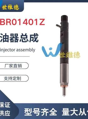 EJBR01401Z共轨柴油喷油器166003978R适用于NISSAN MIC全新品质