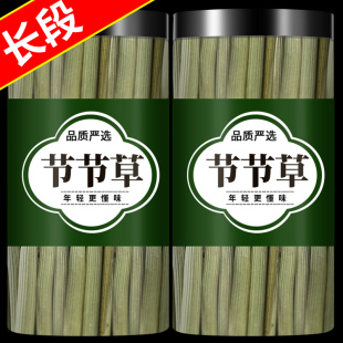 节节草木贼草段中药材新鲜长擦牙木贼千峰草锉草笔头草笔筒草节骨