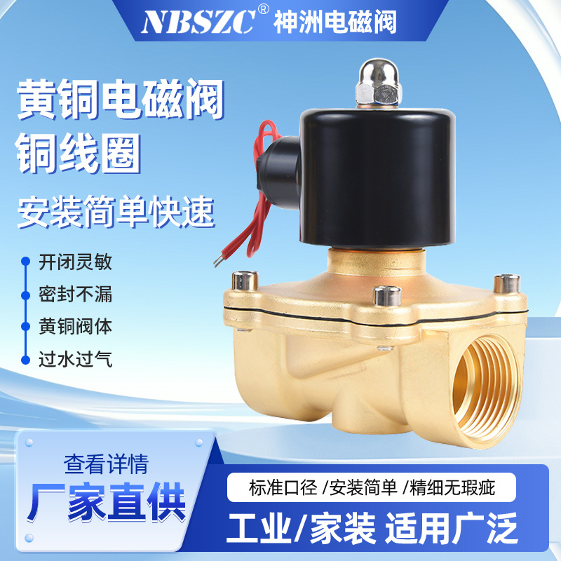 NBSZC 神洲电磁阀  黄铜 1寸 2w-25电磁阀  2W系列电磁阀