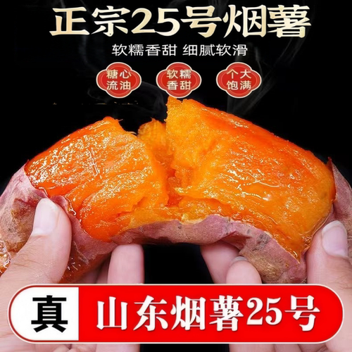 正宗山东烟薯25烤红薯蜜薯红薯