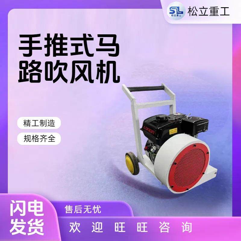 工程路面手推式吹扫机 地面清扫马路吹风机大功率汽油吹风机,农机/农具/农膜,打药机/弥雾机,淘宝优惠券,粉丝福利购,淘宝优惠卷