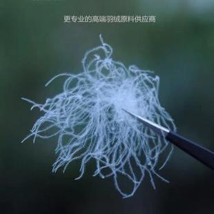 皖西95白鵝絨98吊吊大朵絨90白鴨95％國標羽絨被無異味高蓬松清潔