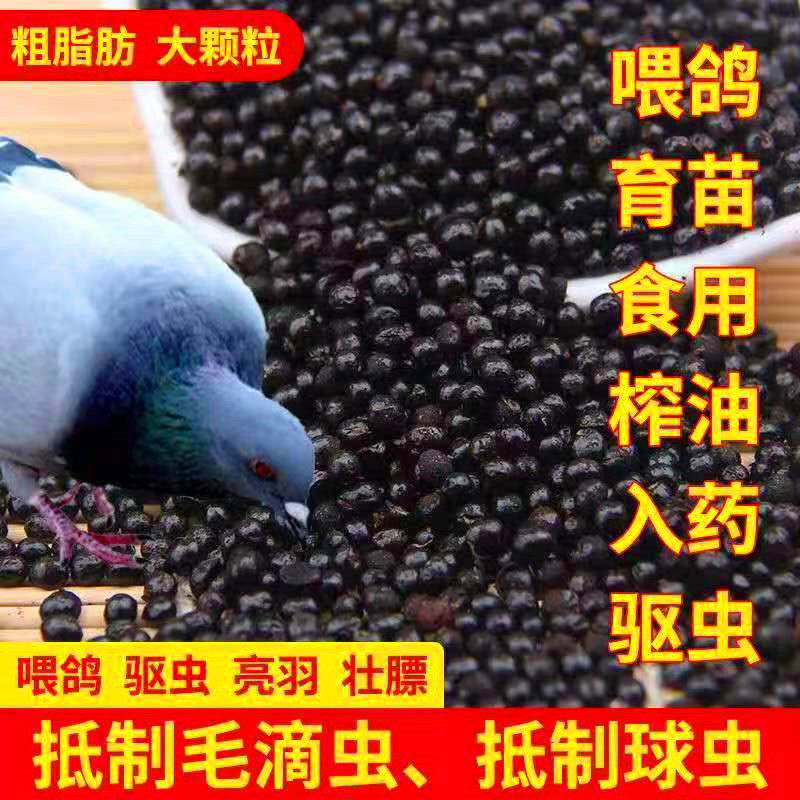 新货花椒籽5斤食用信鸽饲料鸽子鸟专用赛鸽保健鸽粮亮羽包邮