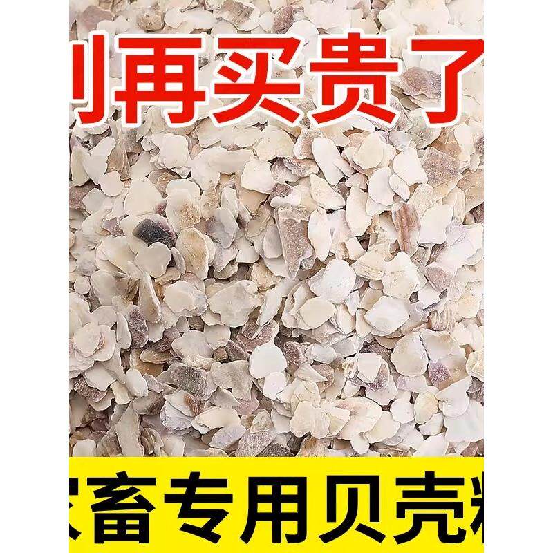 贝壳粉喂鸡用饲料鸭鹅鸽