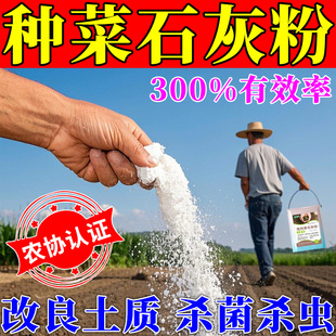 生石灰粉杀虫种菜高纯度土壤杀菌专用消毒熟石灰粉除湿防潮干燥剂
