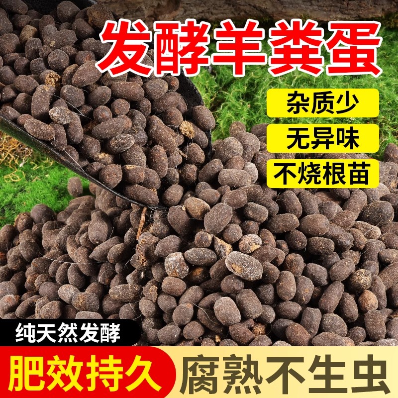 羊粪发酵有机肥干蛋鸡种