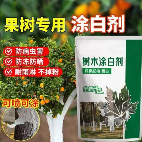 果树防虫涂料农用生石灰粉驱虫树木涂白剂树干刷树用的白灰过冬燥