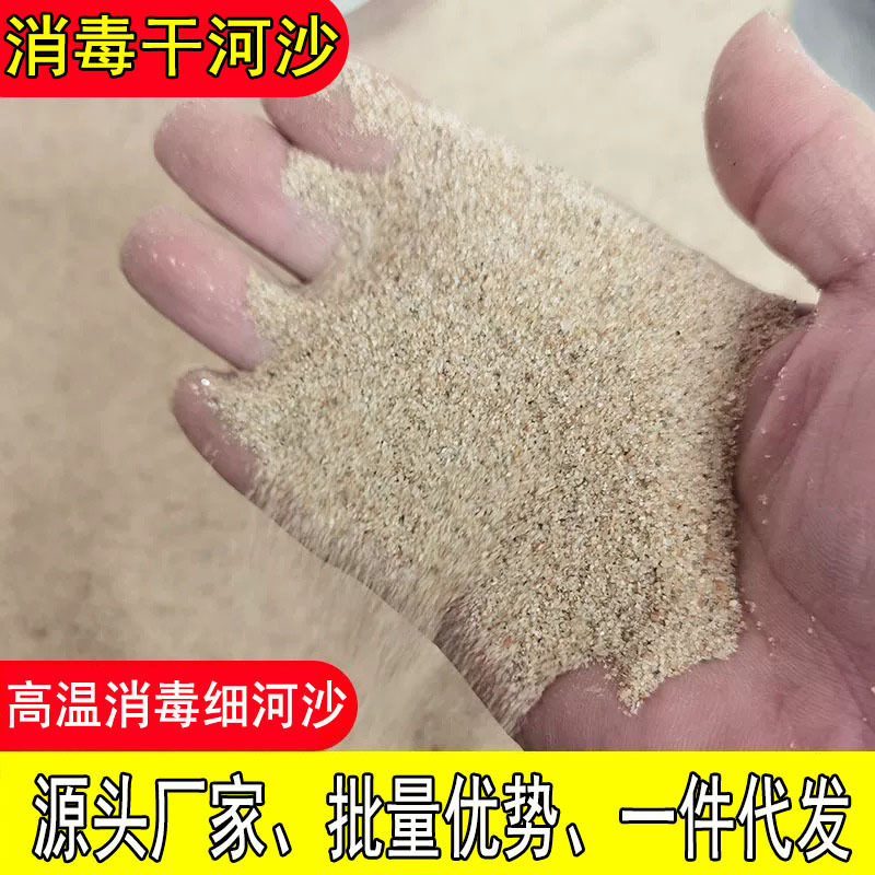纯天然高温消毒过筛细河沙