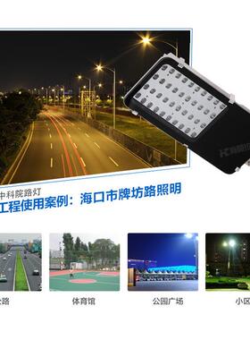 LED路灯小金豆灯头公园广场小区庭院防水户外灯新农村挑臂道路灯