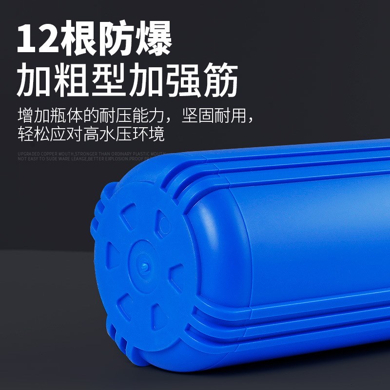 10寸大蓝瓶大胖滤瓶商用中央净水器大胖滤M芯黄泥水前置过滤器家