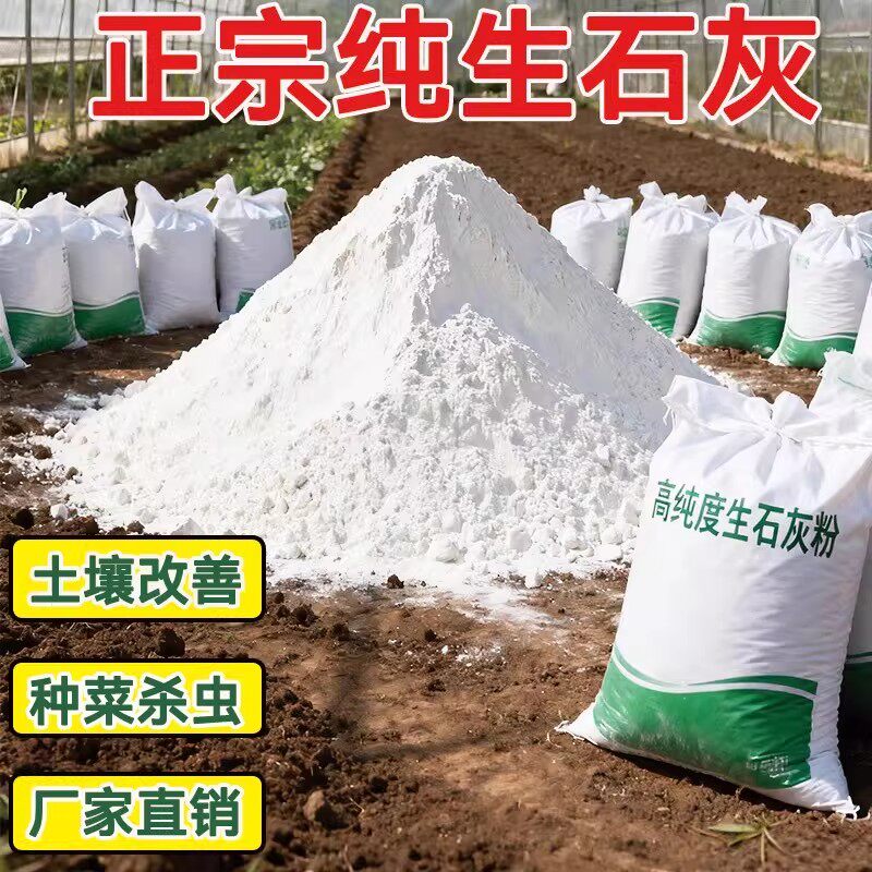 生石灰粉杀虫种菜地高纯度驱蛇农业刷果树木白墙用除湿消毒干燥剂