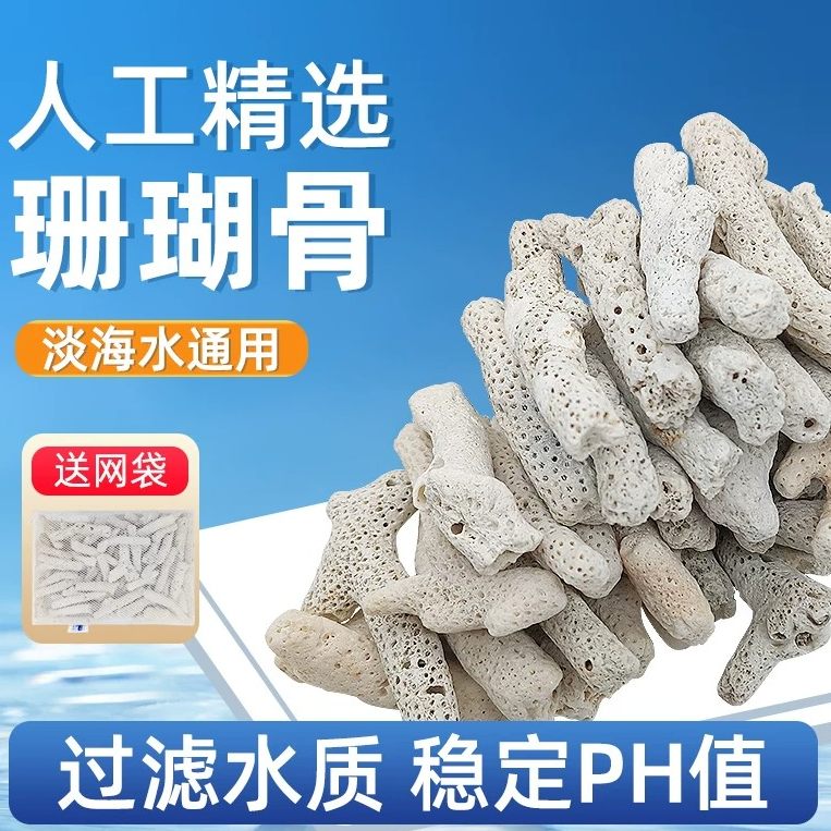 大块珊瑚骨滤材纯天然精图片