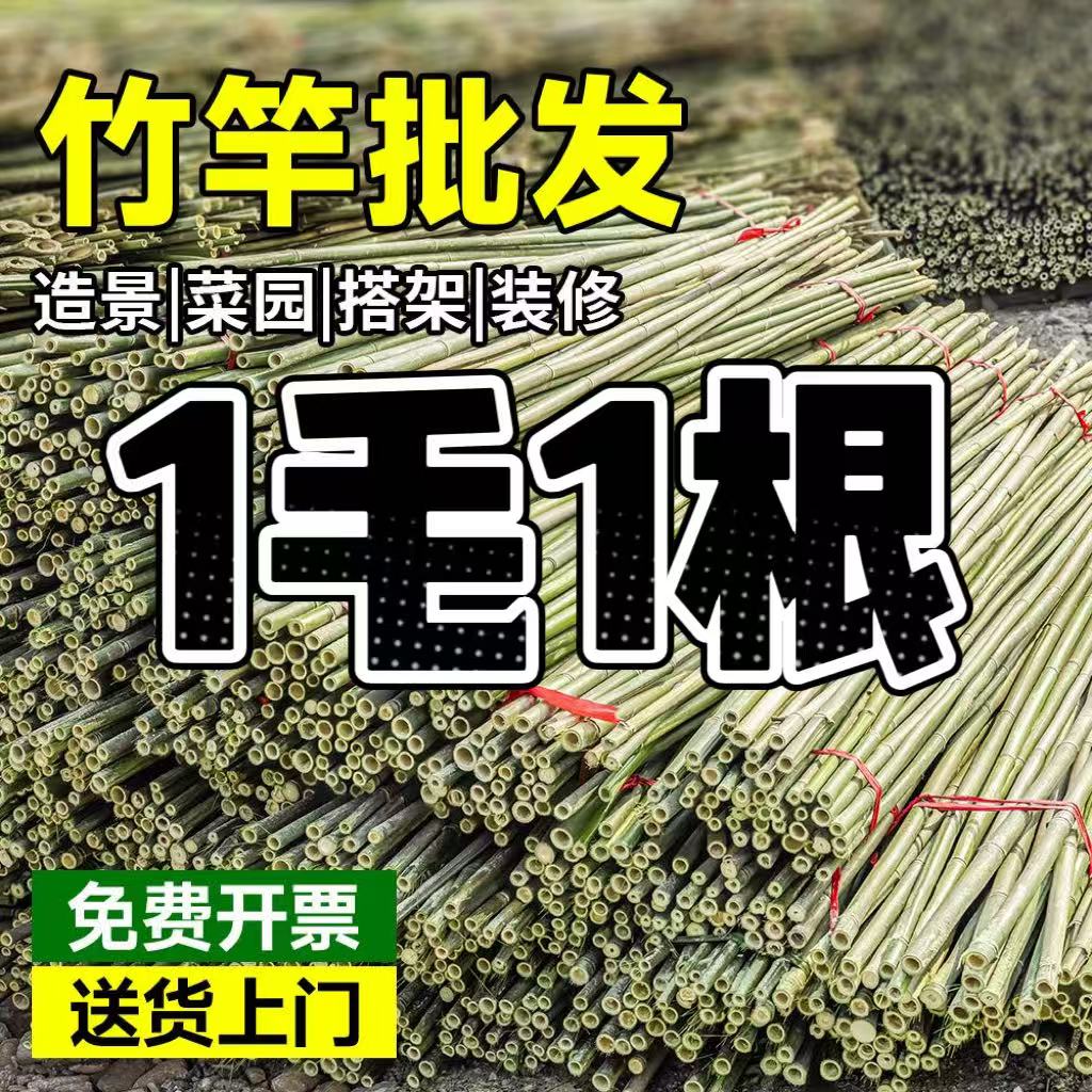 竹竿菜园搭架竹子户外旗杆黄瓜豆角爬藤菜架竹杆支架豇豆搭架杆