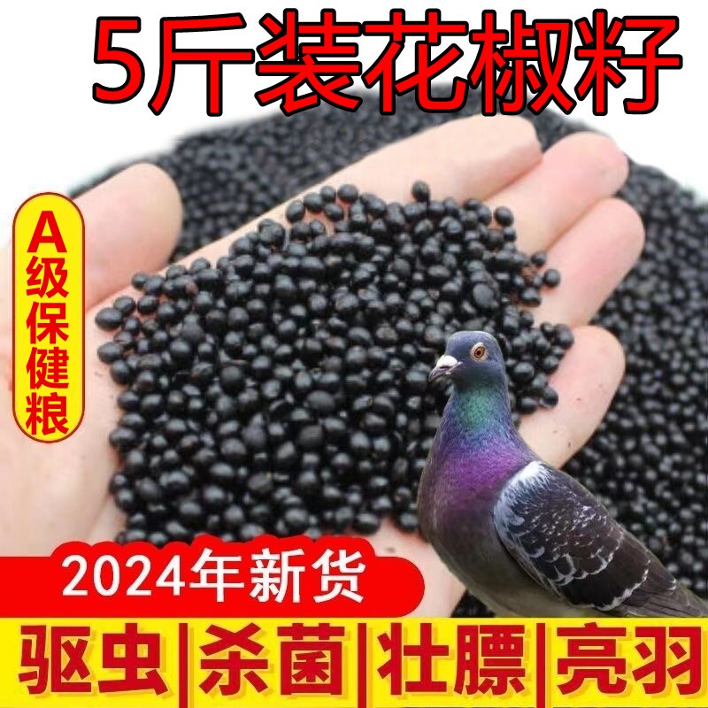 新花椒籽鸽子幼鸽保健砂粮