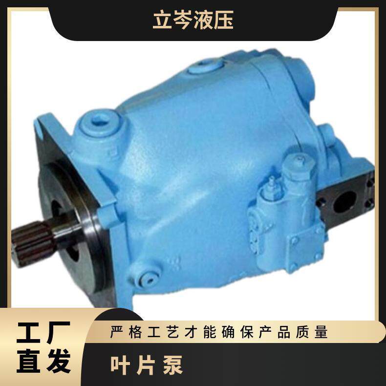 液压泵T6E-066-1R00-C1叶片泵T6ED0720502R03B