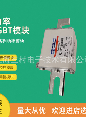 全新熔断器 保险丝全新D02GR44V50/R201771 D02GR44V63/Y207113