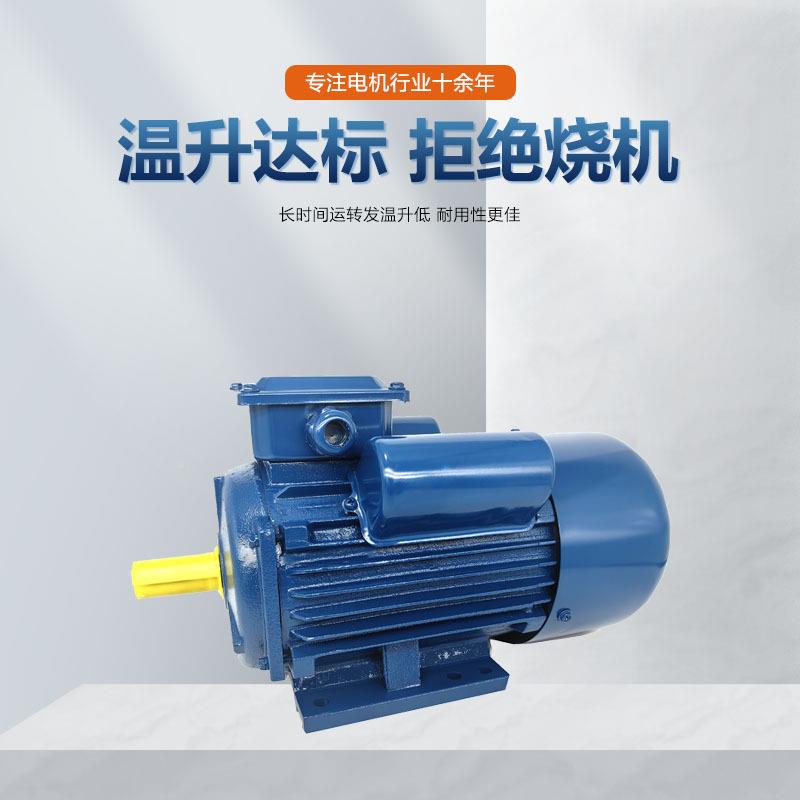 YL单相大马电动机铁XHZ壳卧式闽东值款力国标全铜双异电容步电机