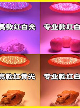 新国标12V-85V灯低WGA压LD熟生鲜灯充电款Eled灯泡食充电款生鲜灯