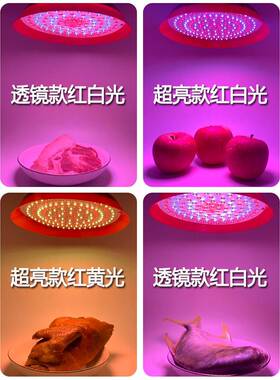 肉电式生鲜充充电款灯泡夜市F76HT65H摆摊熟食灯卤菜卤灯暖光水果