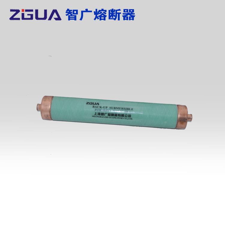 油浸式美式器变压器熔断XRNT15.657568675KV/31.5A63A8A0A12-5A17