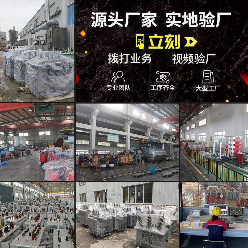 3KV油浸式变压器31kva三相双绕组Z无ZDXDLHH2励磁有载5调5压SS9配