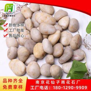 厂家直173销白色普花通石抛光鹅鹅卵石雨园林铺路卵石