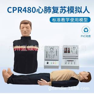 CPR480心肺復蘇模擬人心臟急救人體訓練模型電子計數(shù)人工呼吸假人