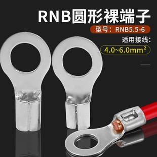 O型圆口线耳 10欧式 接线端子RNB5.5 6黄铜紫铜加厚点焊口冷压12