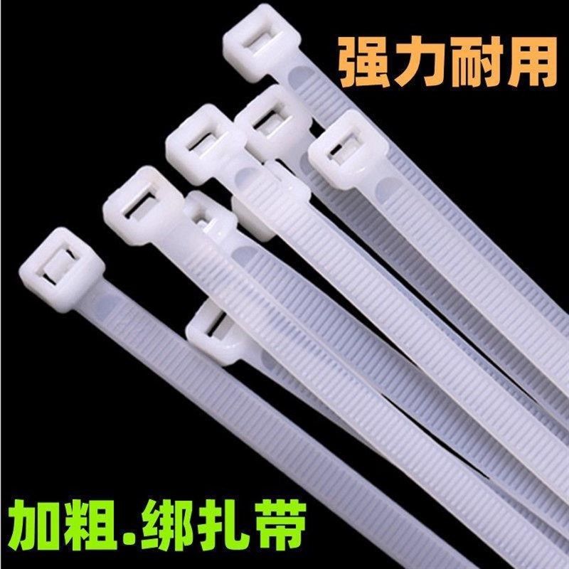 10型号尼龙扎带10x200 10x300 10x400 10x500 10x600 10x800宽长 - 实物图