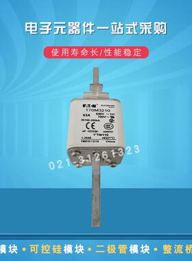 巴斯曼快速熔断器170M3208 3209 3210 3211 3212 3213 3214 3215