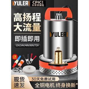 渝乐12V24V直流潜水泵48V60V农用电动车电瓶小型灌溉抽水泵机家用