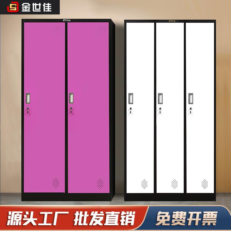 厂家直销钢制员工宿舍更衣柜储物柜2门家用彩色衣柜加厚铁皮柜子