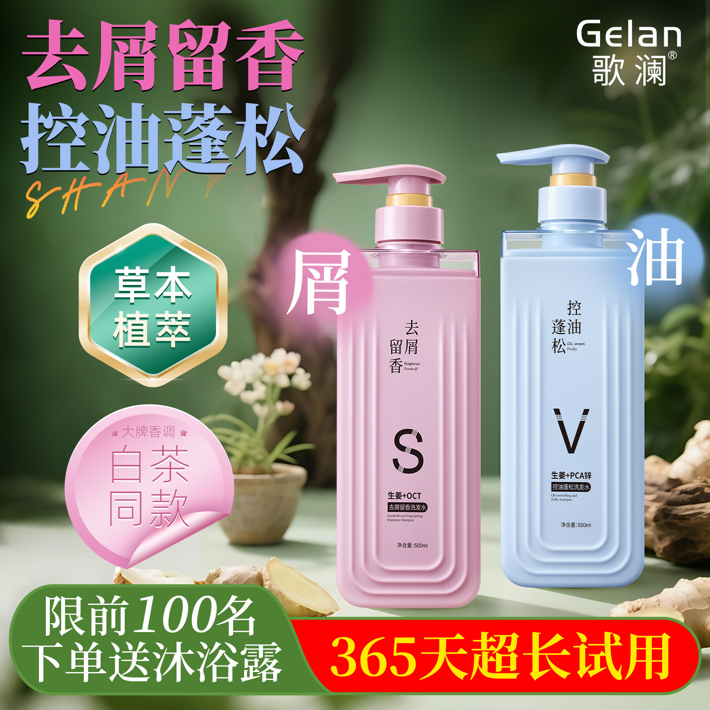 歌澜植萃去屑留香控油蓬松洗发水正品草本植物精华清爽柔顺洗头露