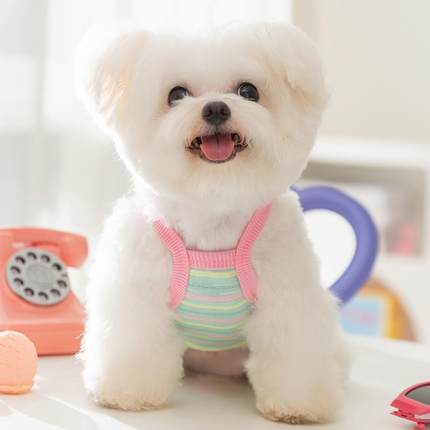 可爱狗狗衣服夏季薄款背心泰迪比熊宠物小型犬猫咪夏天可牵引吊带