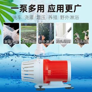 12V24V太阳能泵户外鱼缸鱼池过滤假山喷泉高扬程中微小型无刷水泵