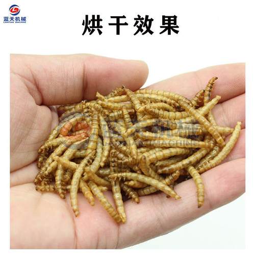 粉虫大烘干机 空能热泵活体面包虫烘黄烤机气 无骨虫麦LT-HFC虫烘