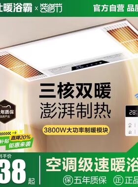 雷仕暖浴霸集成吊顶风暖排气扇照明五合一体卫生间浴室取暖风机