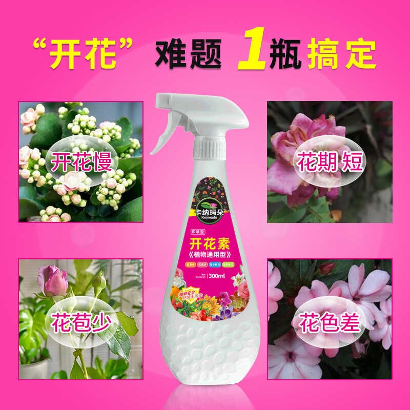 开花素三角梅免稀释肥料促爆兰茶桂君子营养液磷酸多箭素
